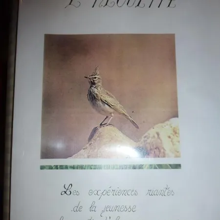 Alojamento de Acomodação e Pequeno-almoço L'abri Des Alouettes Les Herbiers