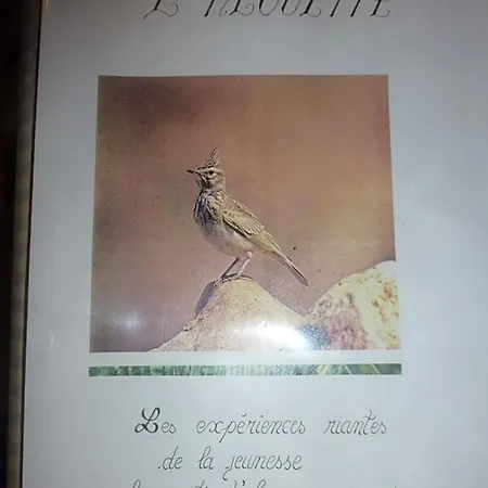 L'abri Des Alouettes 3*